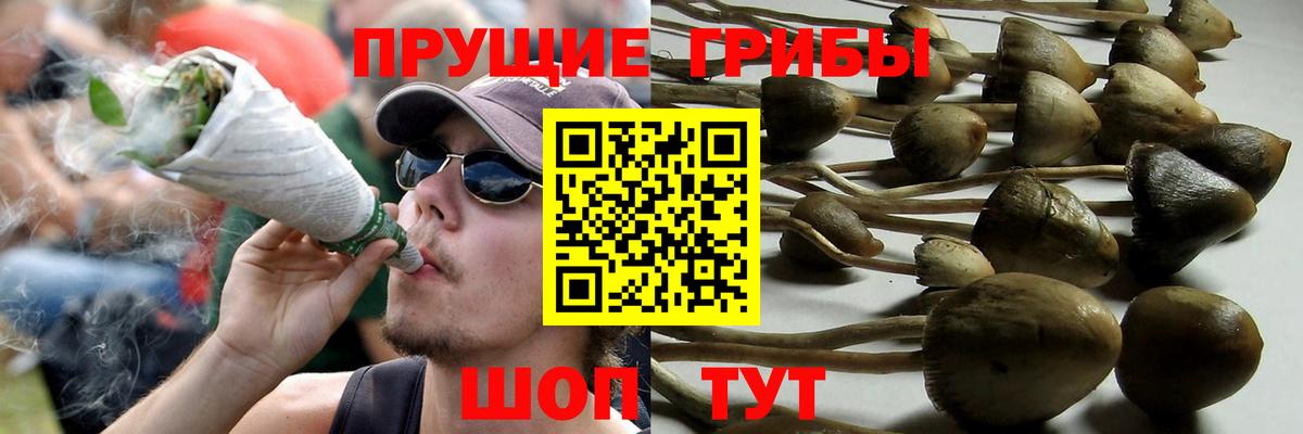Псилоцибиновые грибы Magic Shrooms Нягань